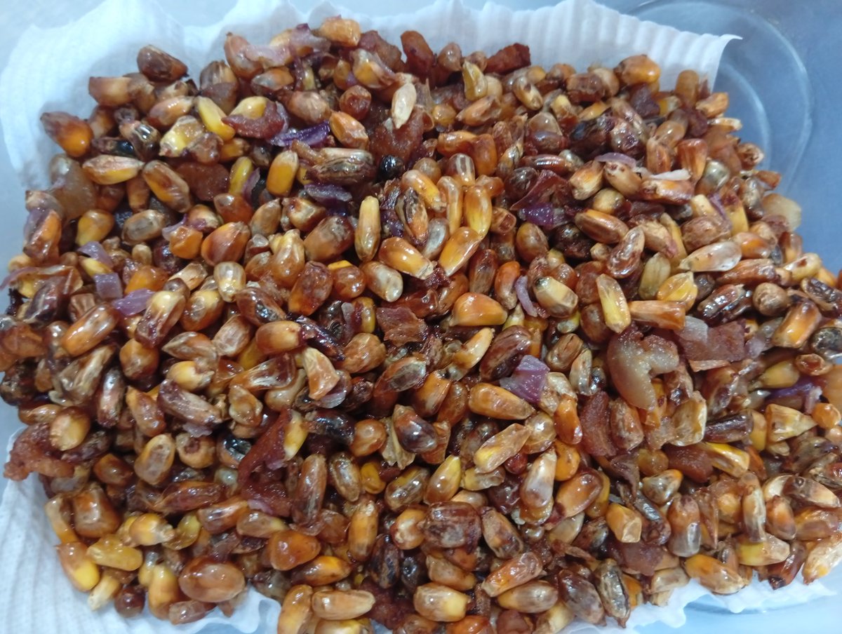 PatronaQuinn🤟🏻 tweet media