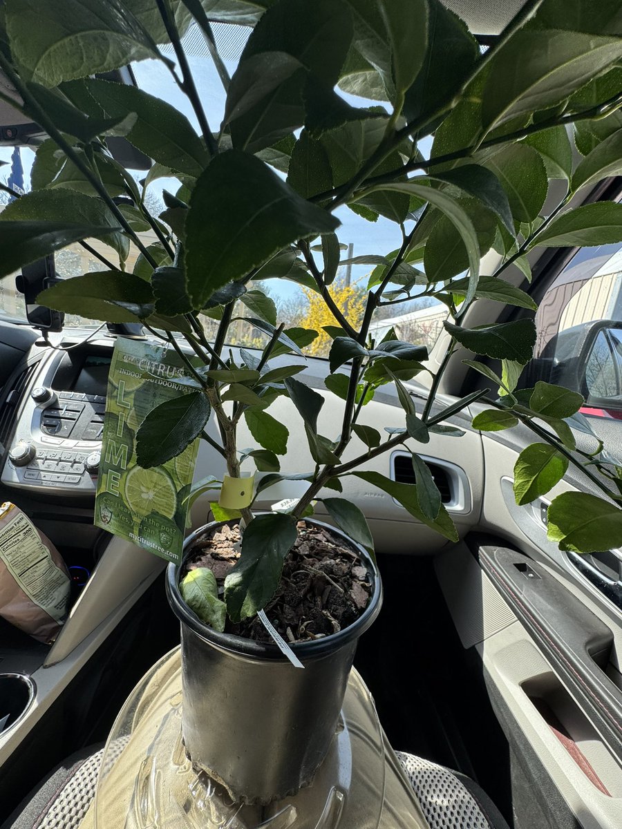 CYBER ➡️ Hell💤 tweet media