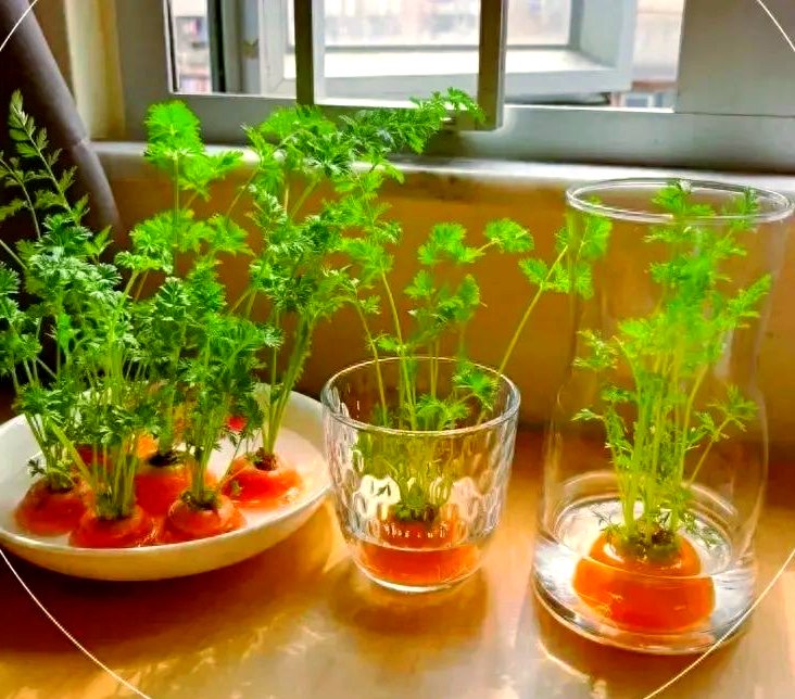 rob stough tweet media