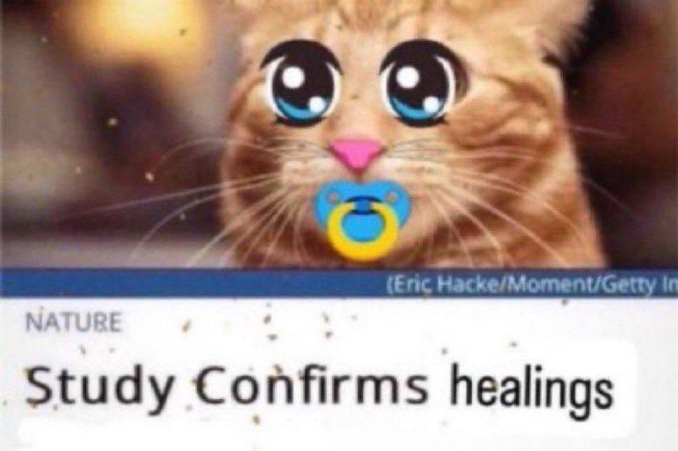 𝕷. ⚜️ tweet media