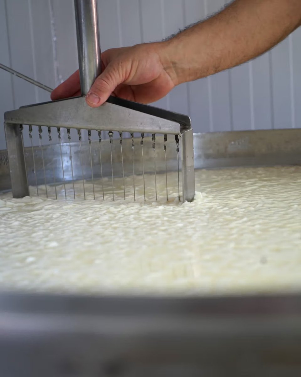 Benvinguts a Pagès tweet media