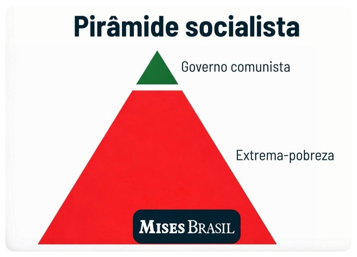 Silvia Bellato tweet media