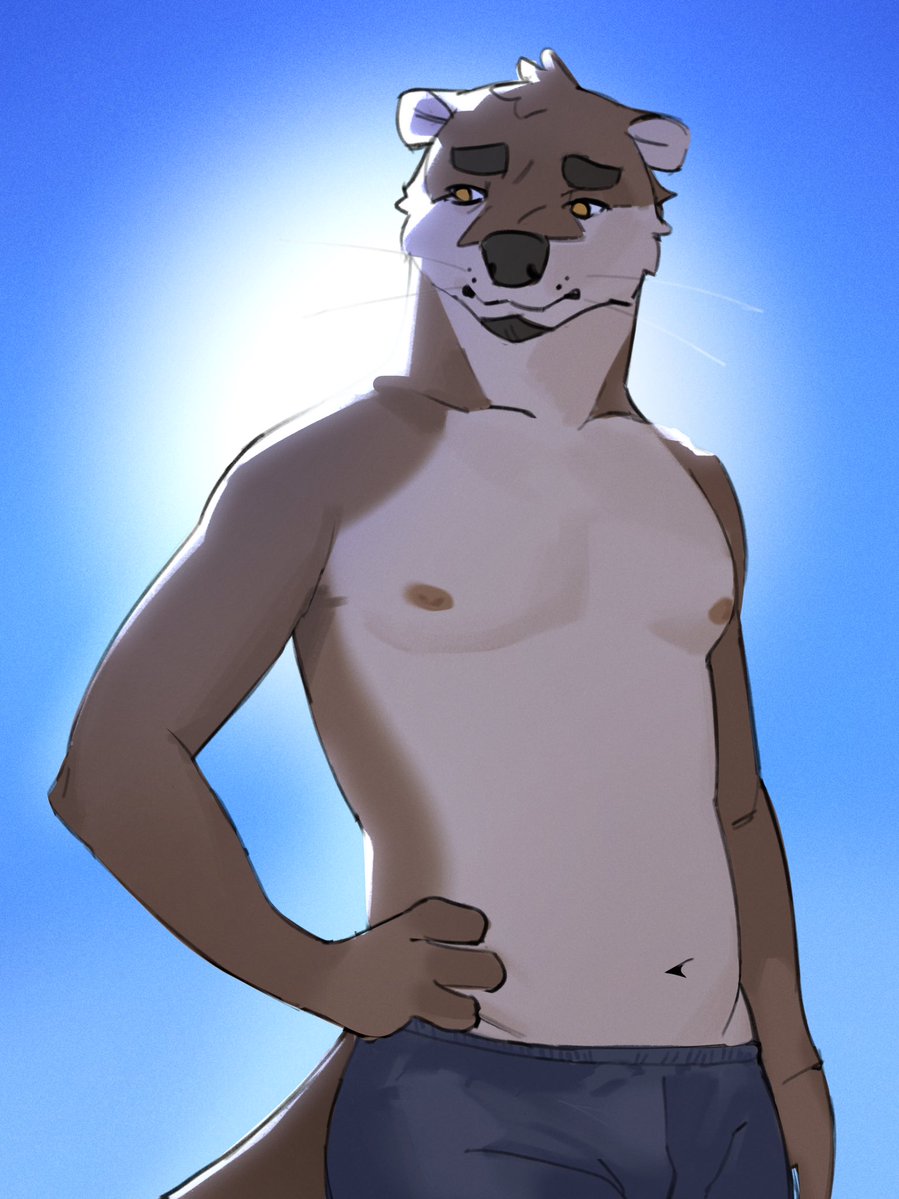 novumave tweet media