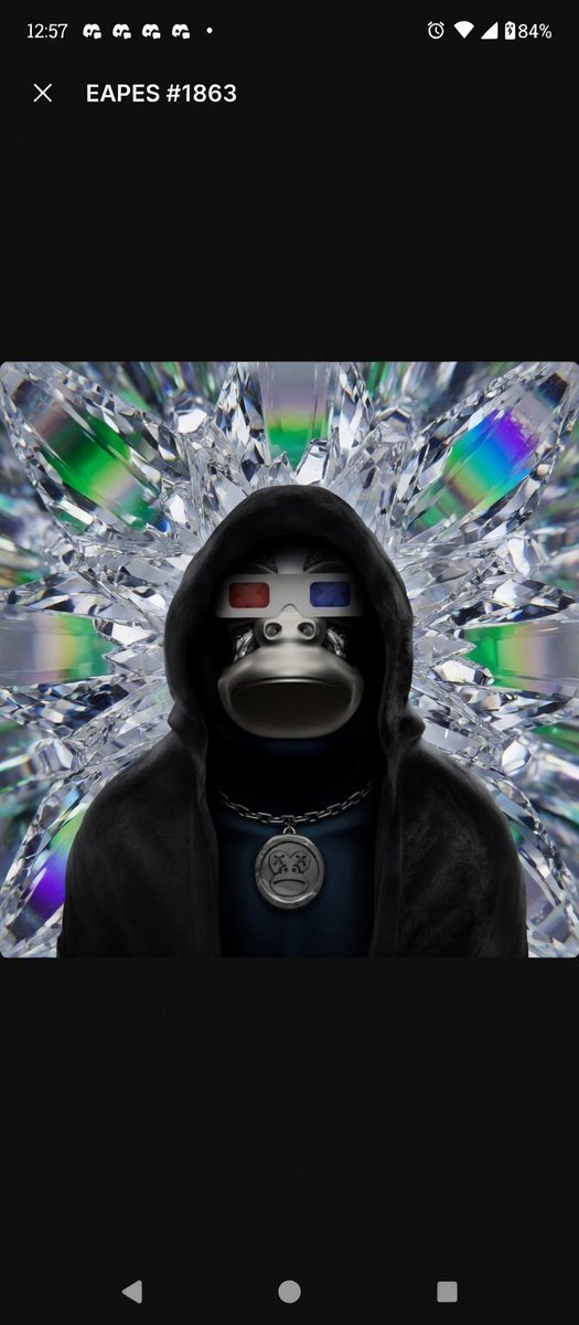 Brad Jopapa tweet media