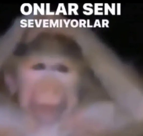 bersu⁷ | ⊙⊝⊜ ARIRANG!!! tweet media