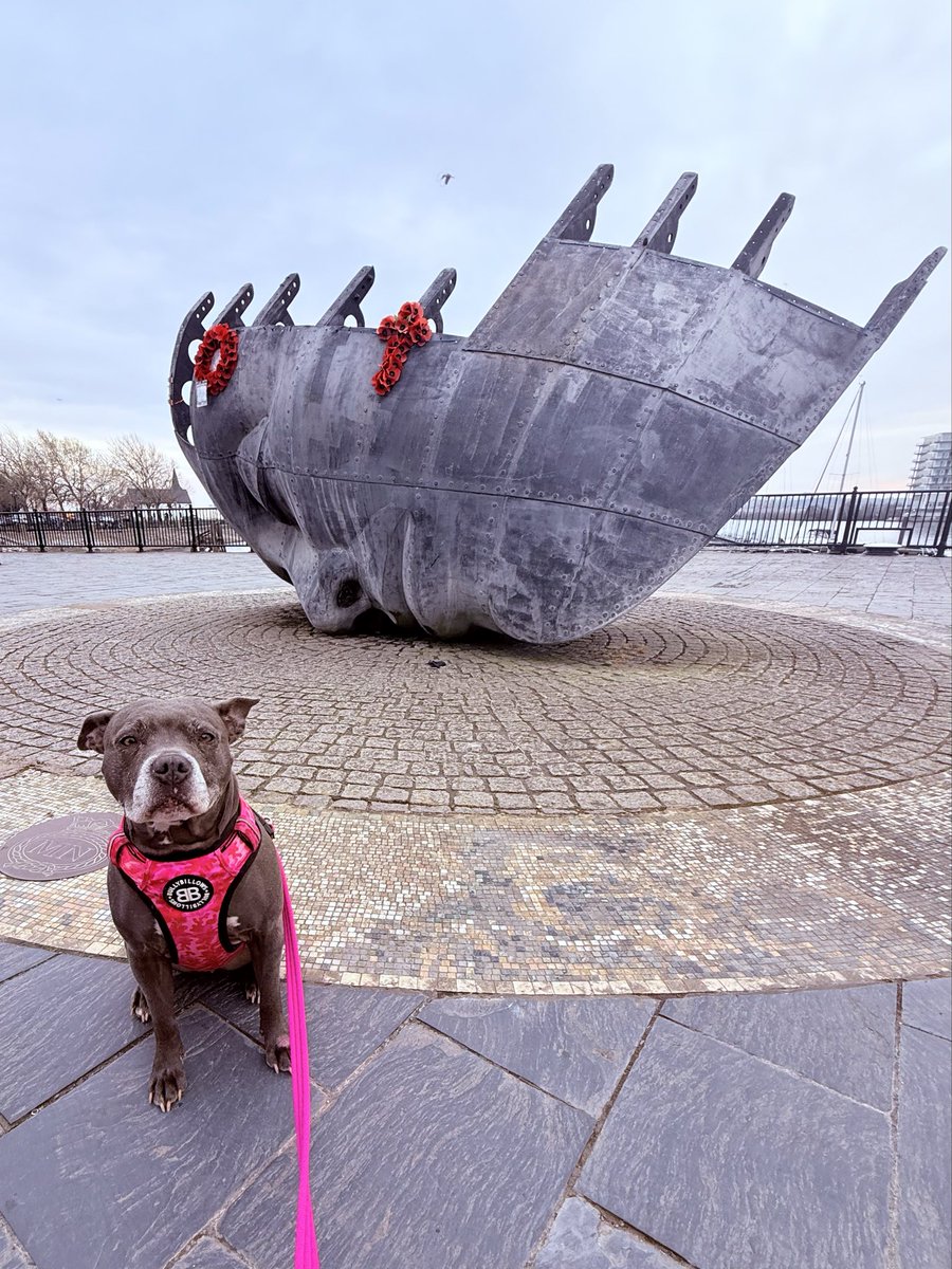 Isa Mary tweet media