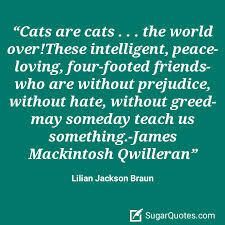 SquirtMcSquirtface with kittens Trickle & Matilda tweet media