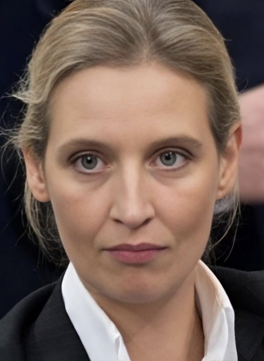 Peter Miltenburg tweet media