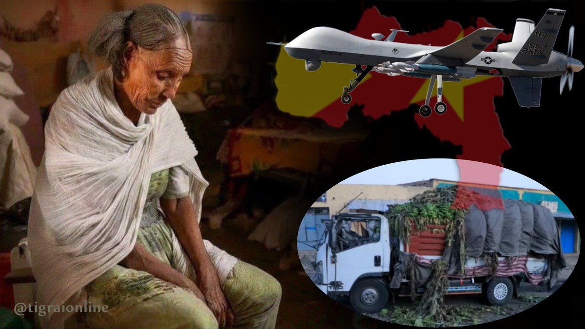 Tigrai Online tweet media