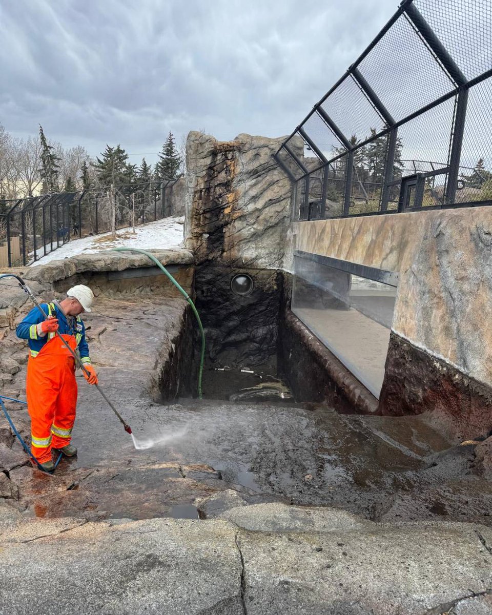 Calgary Zoo tweet media