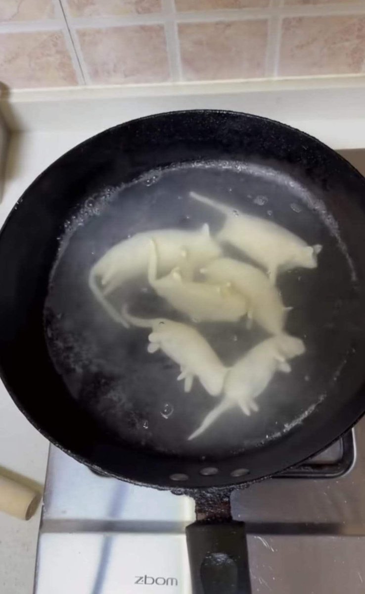 Luy 🐈‍⬛ tweet media