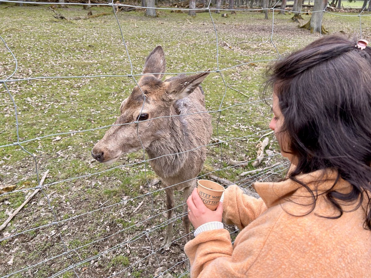 Stephan Da Re tweet media