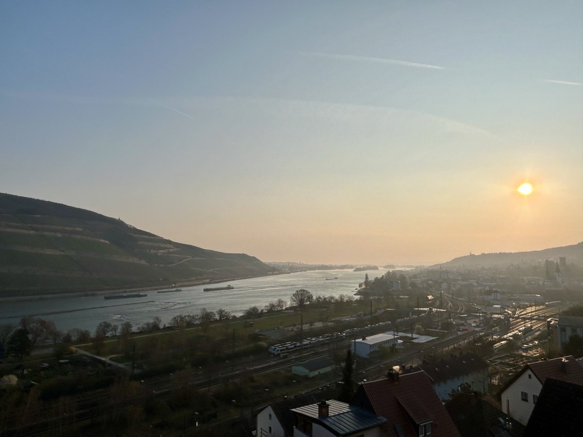 Stephan Da Re tweet media