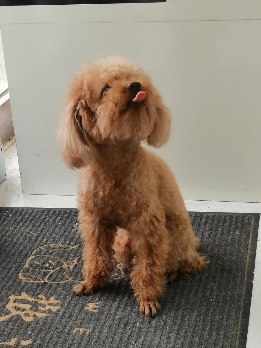 Simo Med tweet media