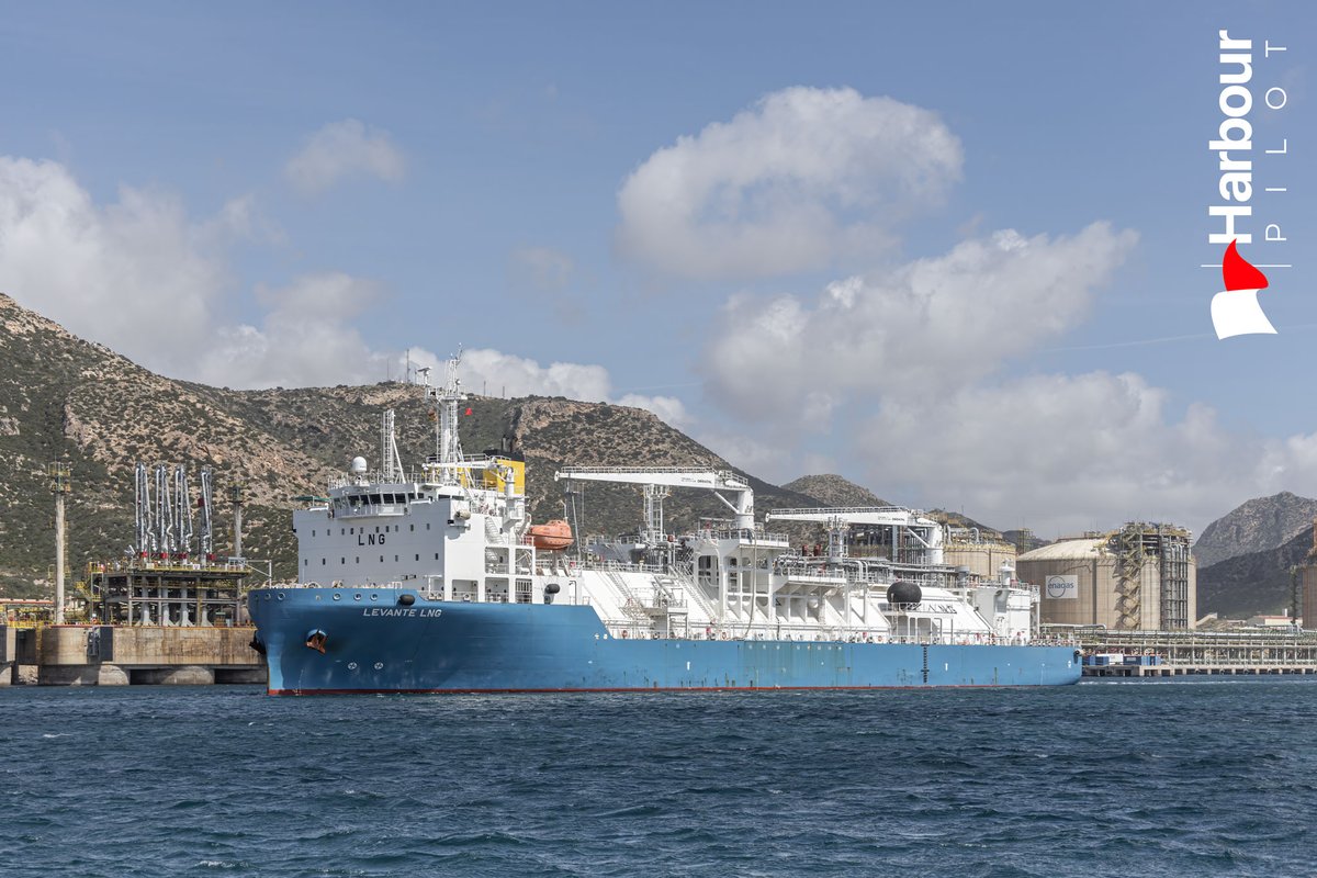 Harbour Pilot tweet media