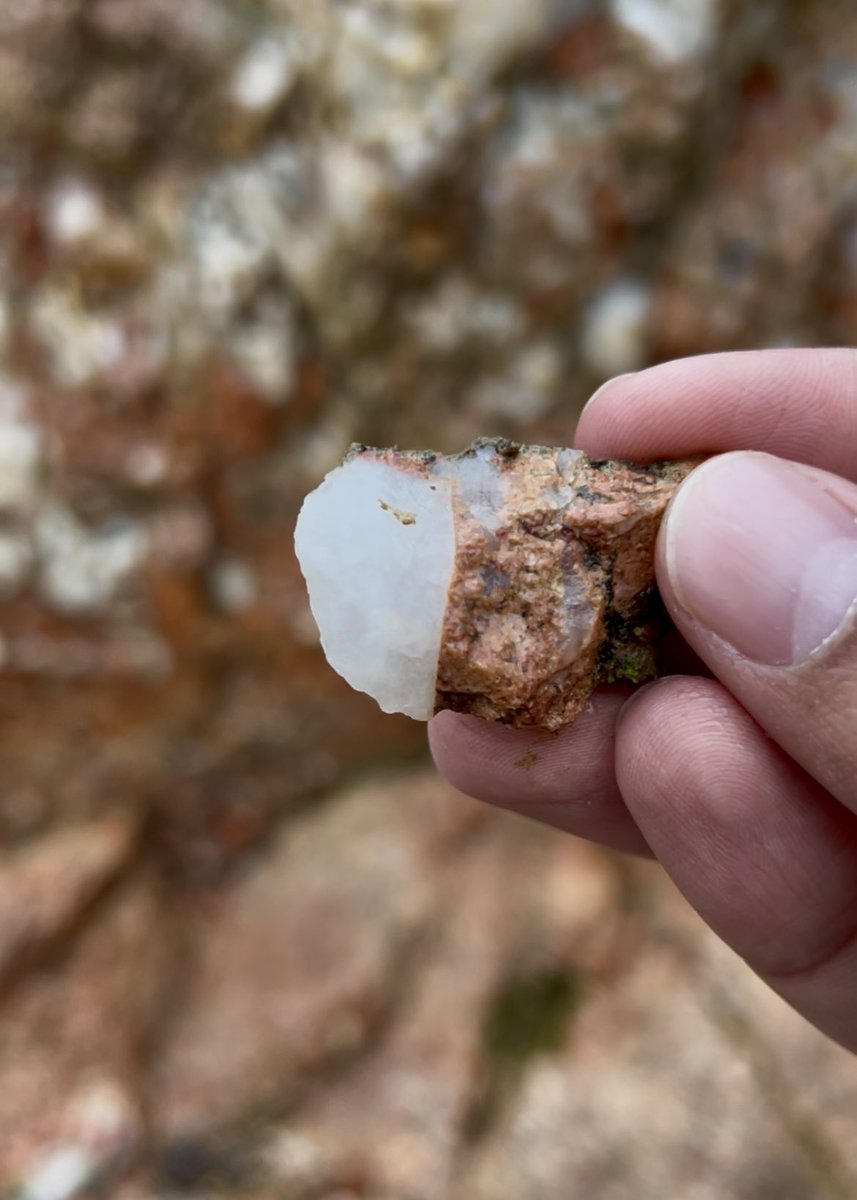 م.وليد الغامدي ✈️ tweet media