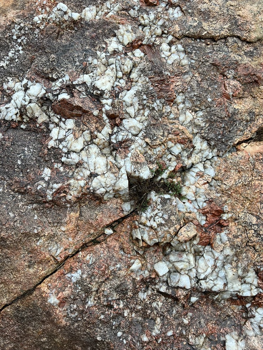 م.وليد الغامدي ✈️ tweet media