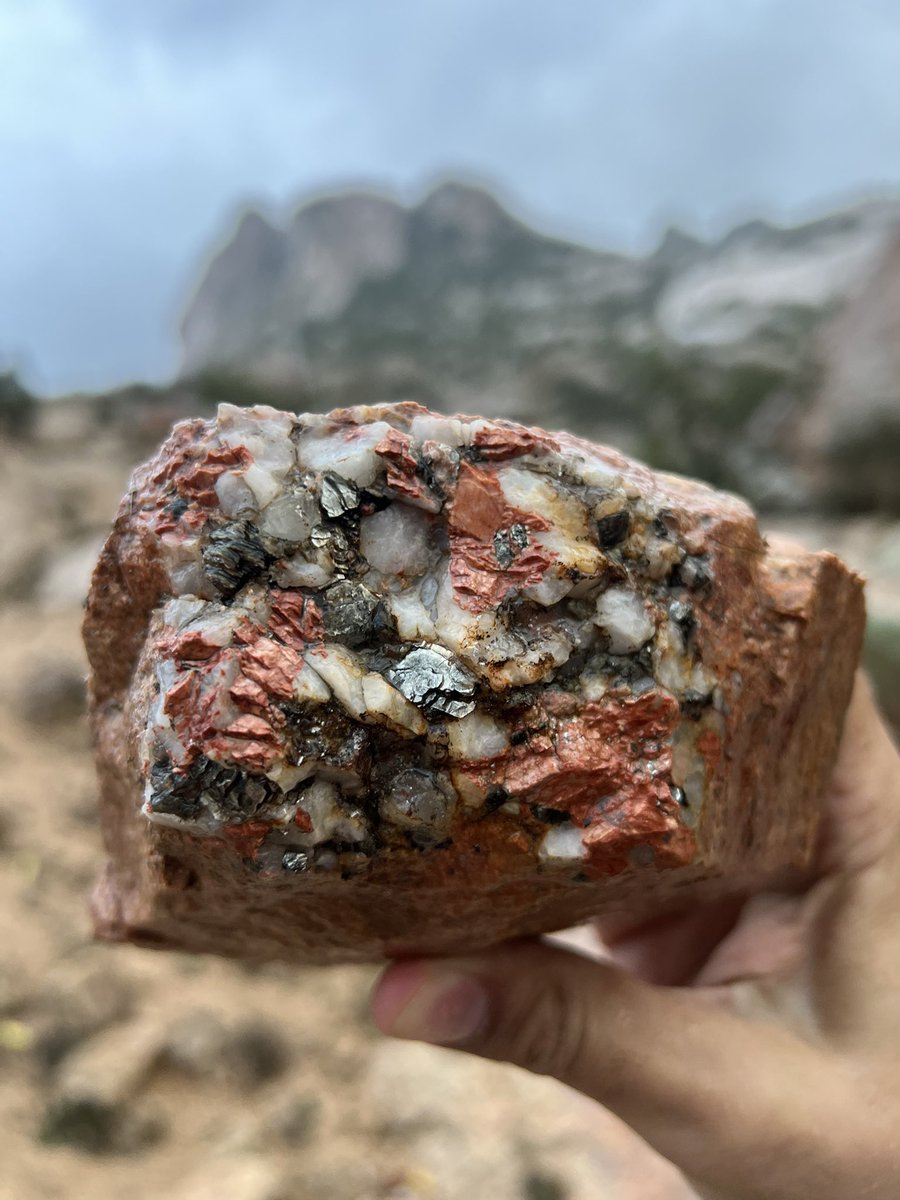 م.وليد الغامدي ✈️ tweet media