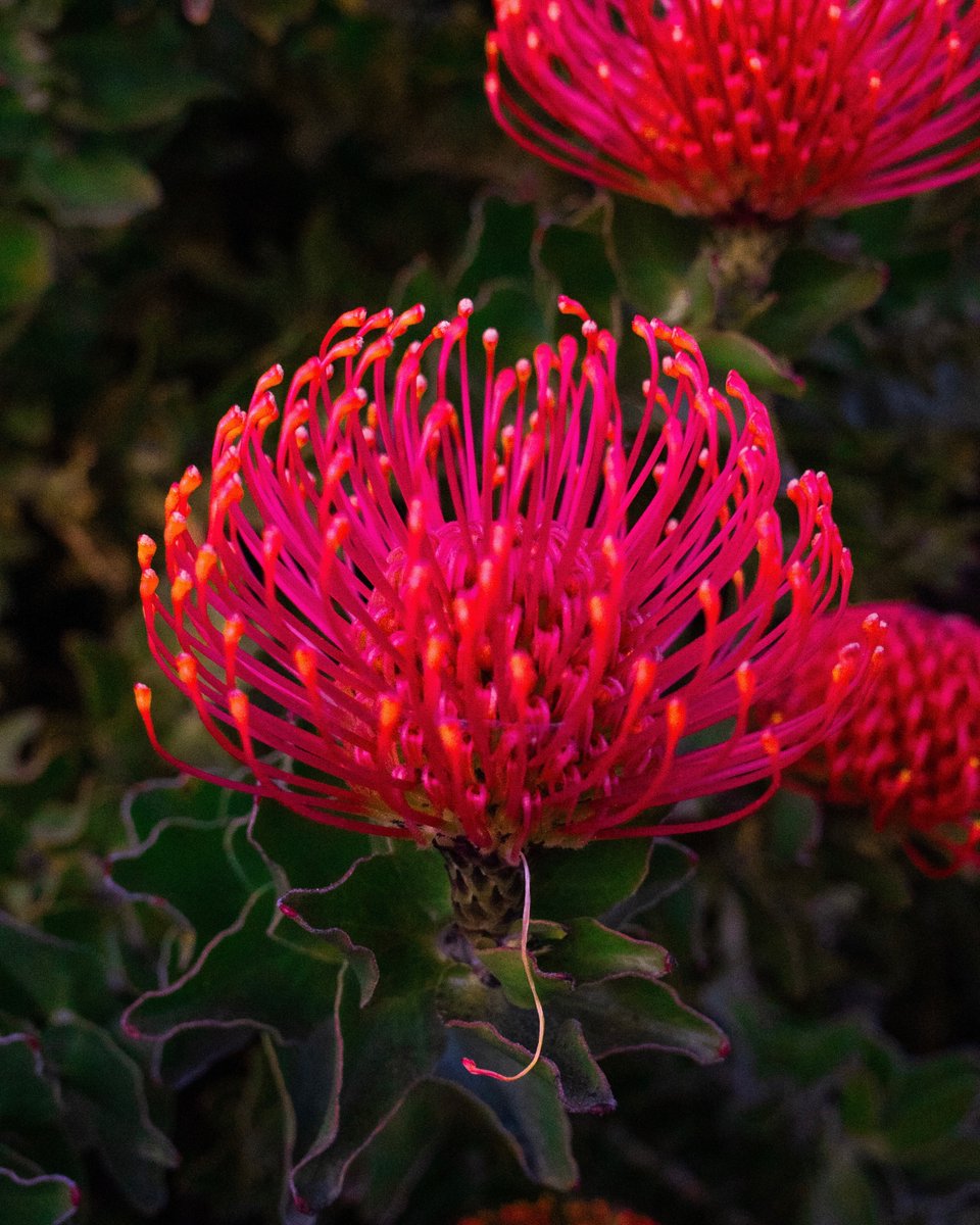 Darren Waller tweet media