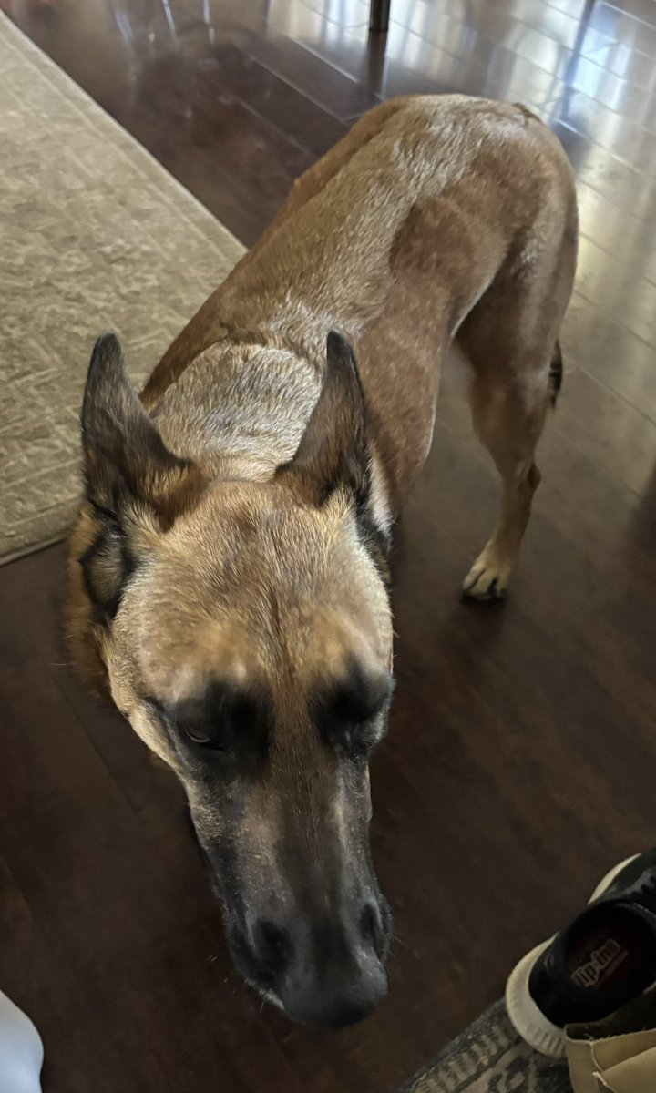 Rick Shaffer tweet media