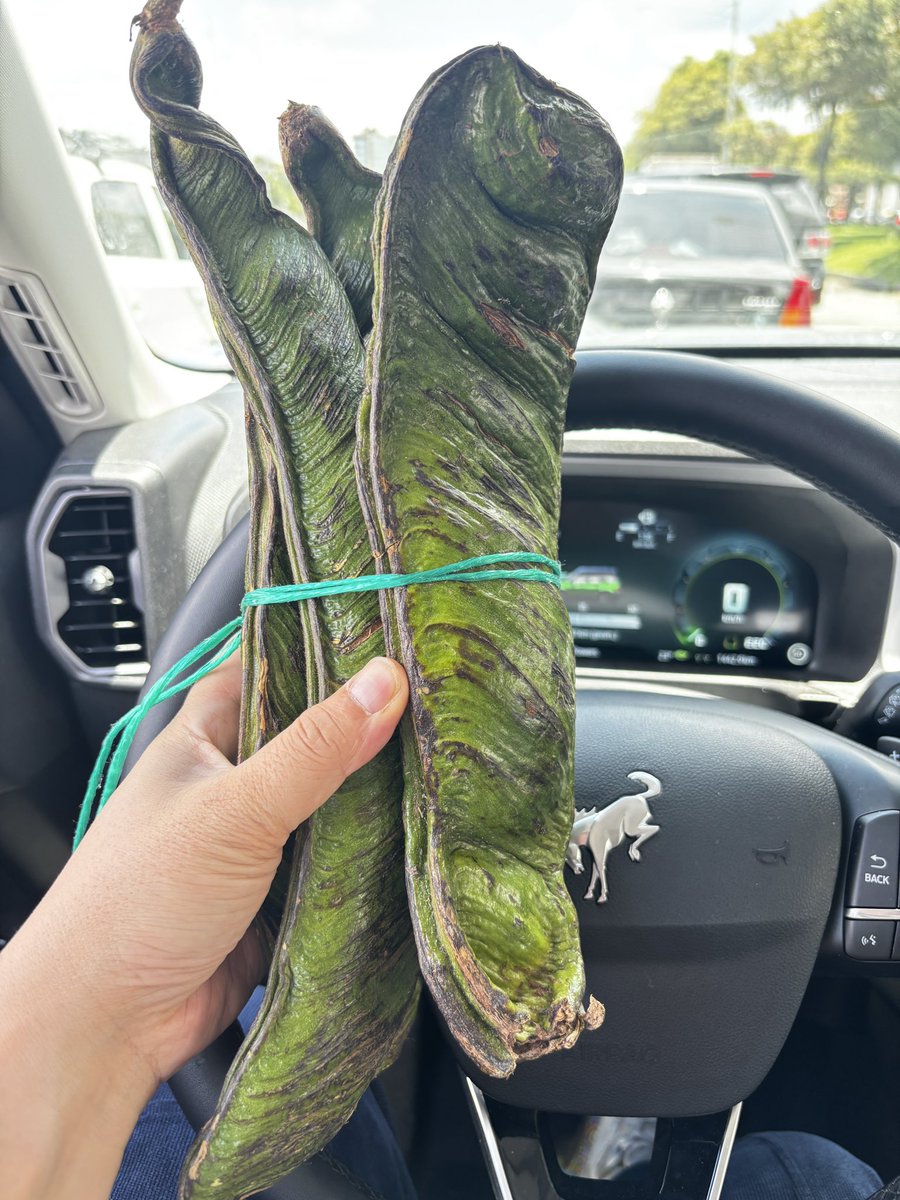 Hanwen Zhang 🐲张汉文 tweet media