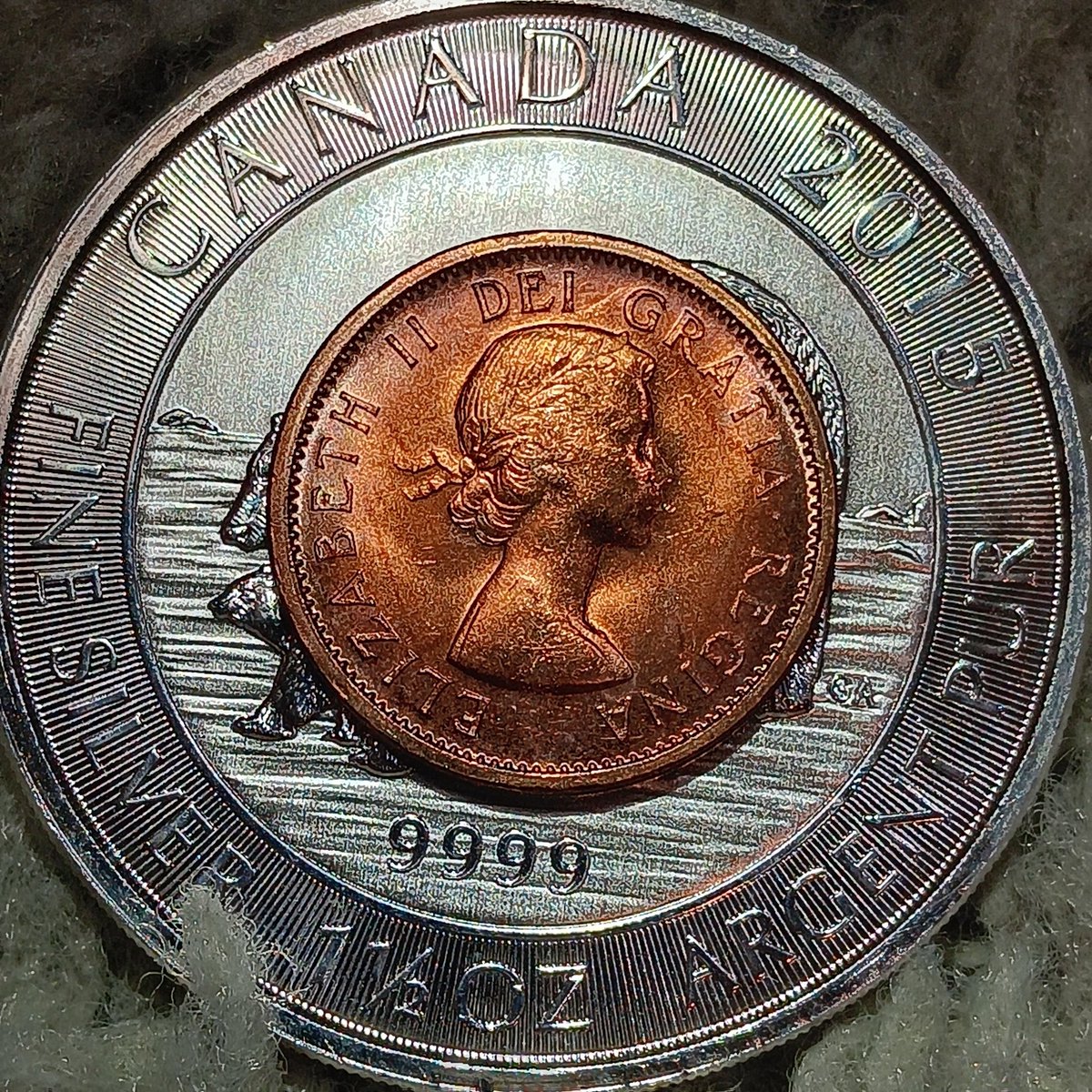 Arrowheadbroken tweet media