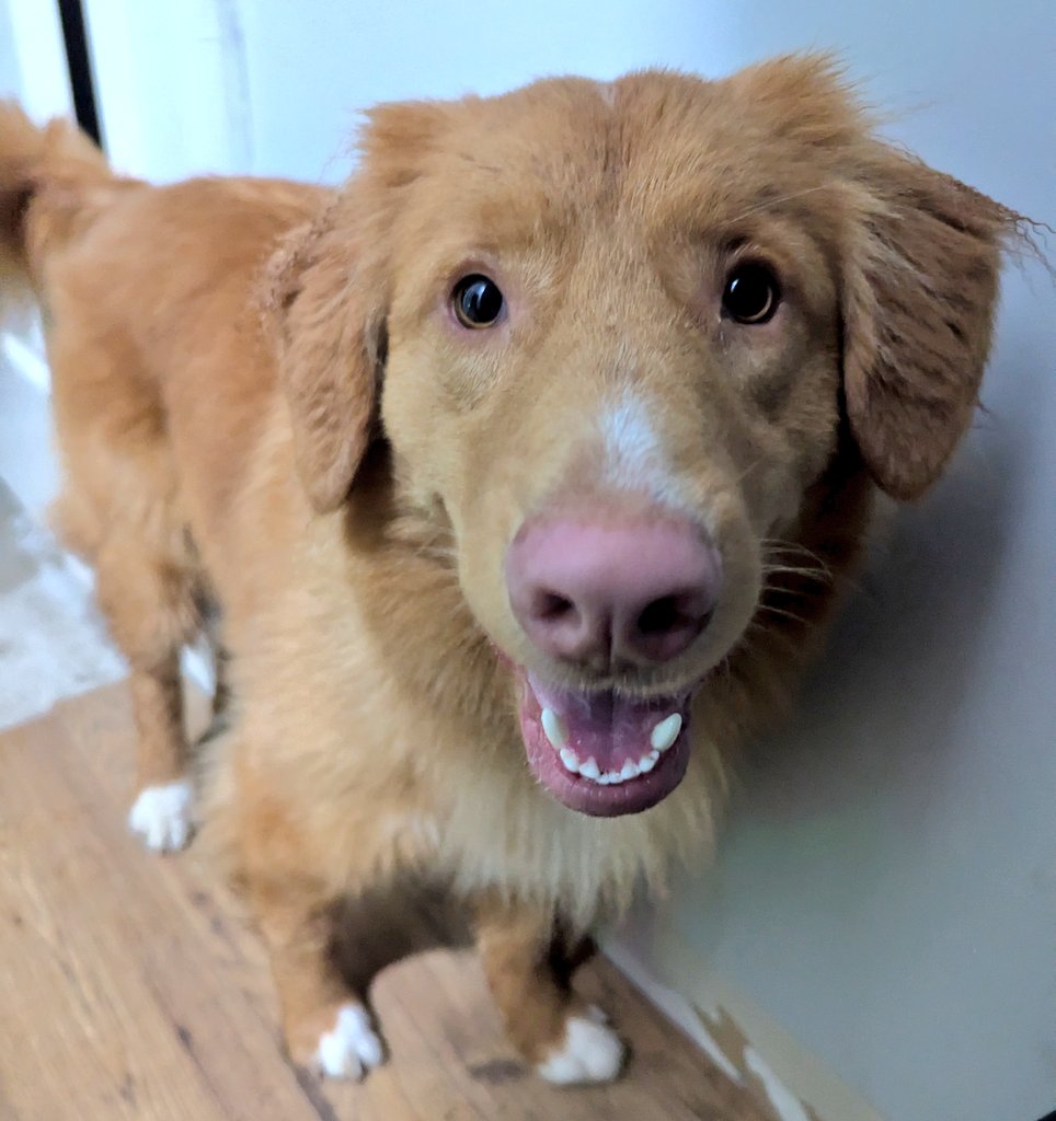 Trav 🇨🇦 tweet media