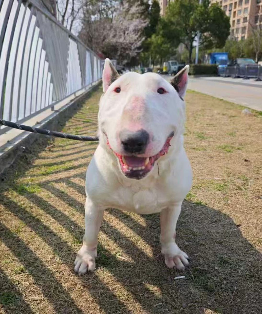 Just-plain-Jane 🌸 tweet media