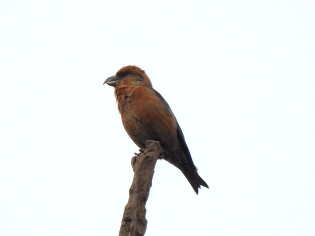 Mark Clements tweet media