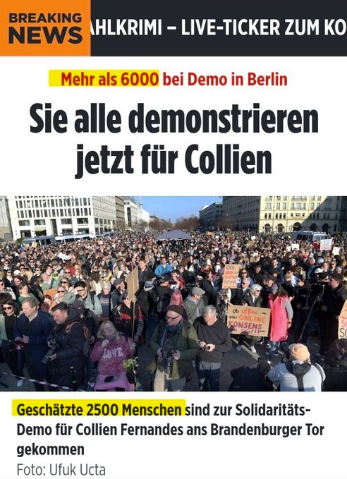 Alina Lipp tweet media