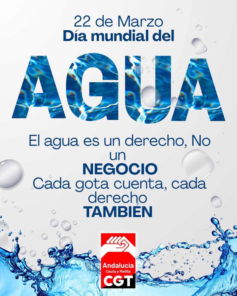 Miguel Montenegro M tweet media