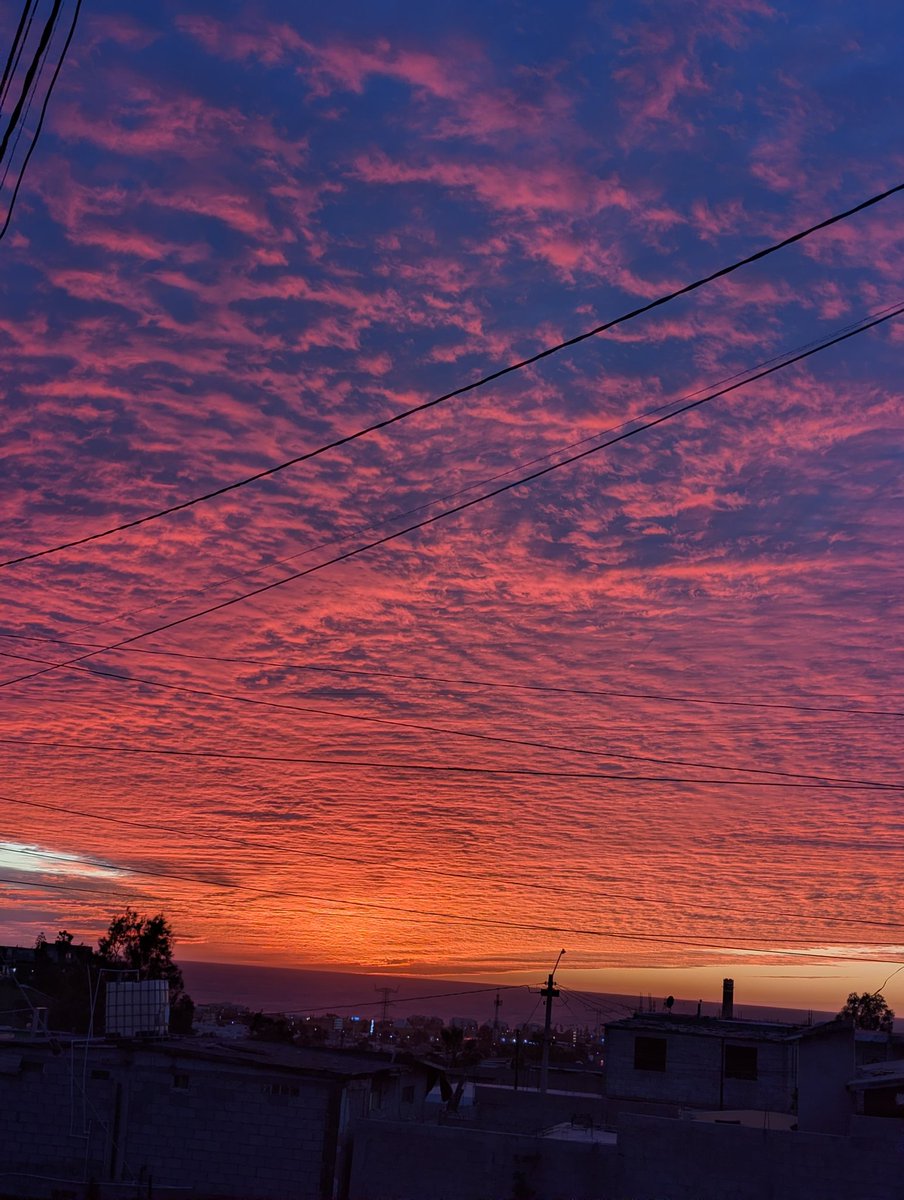 ✨ Alfredo Solís ✨ tweet media