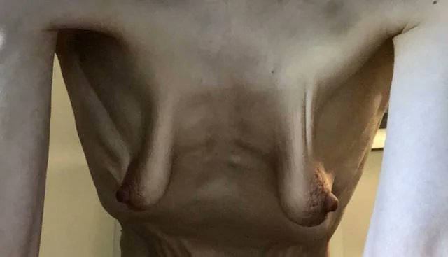 The Prophet of Light tweet media