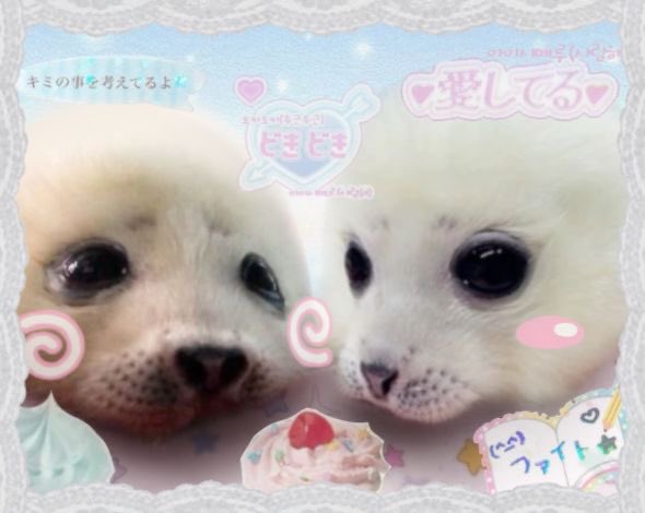 ꒰ྀིᐡ ◜ඏ◝ 𓏼ᐡ꒱𑁤༘ ゛ tweet media