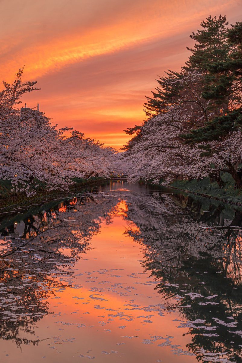 vistaaura tweet media