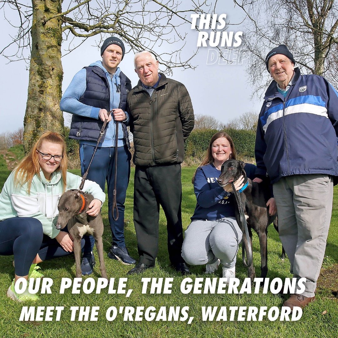 Curraheen Park Greyhound Stadium tweet media