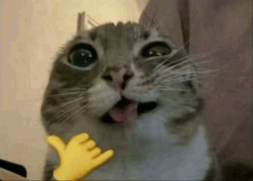 MomitoPE tweet media