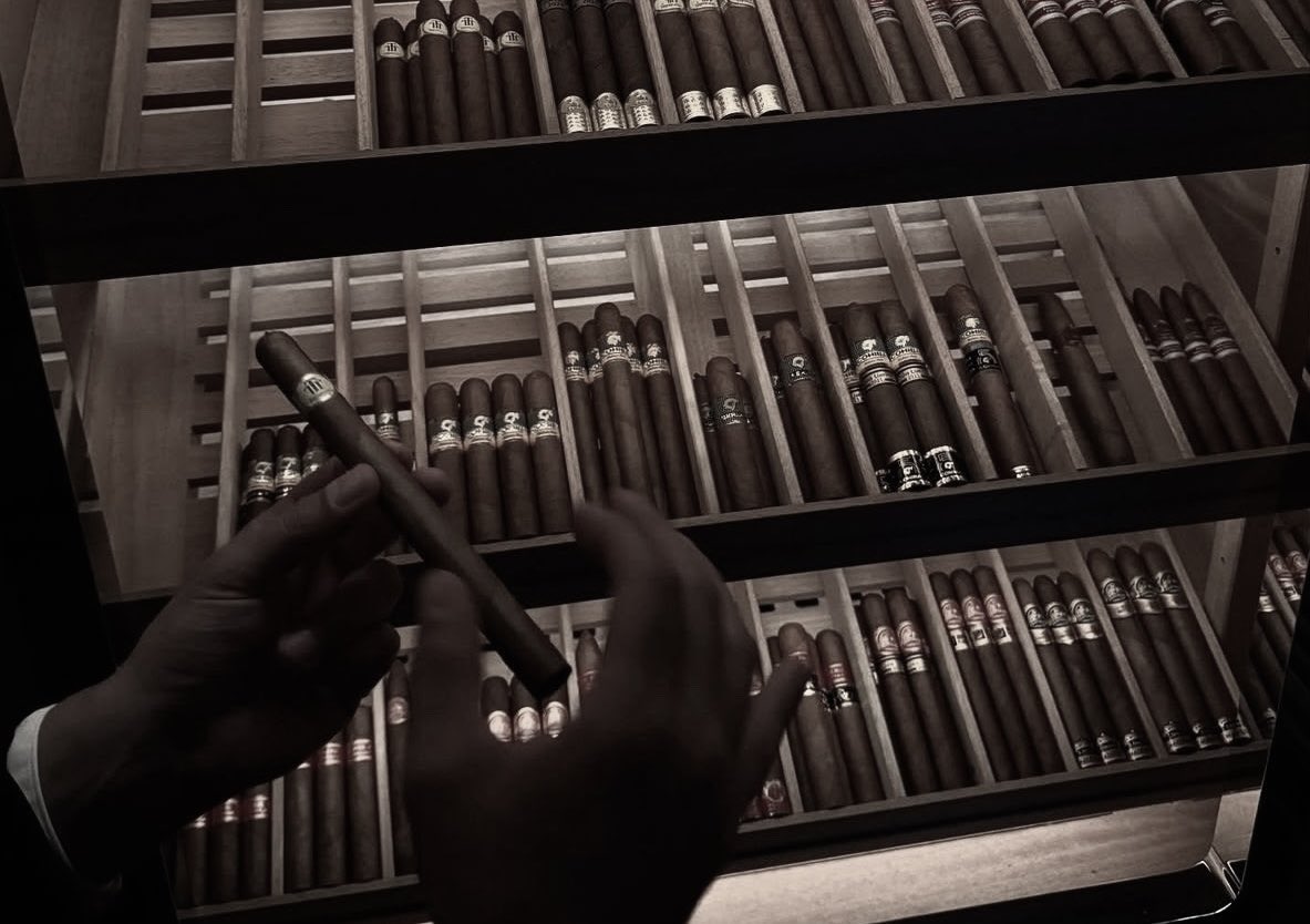 Leonardo. tweet media