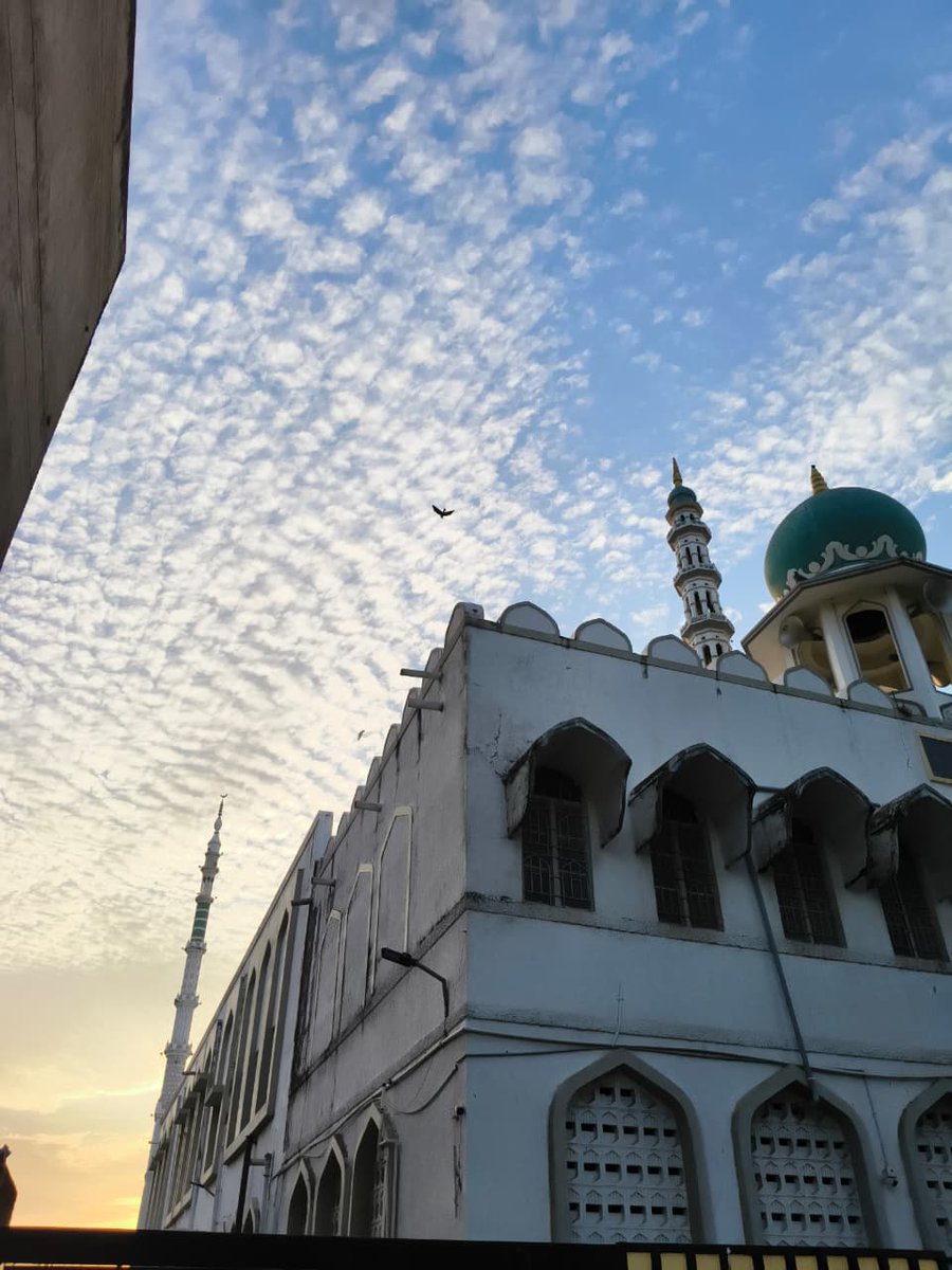 Saad 🍉 tweet media