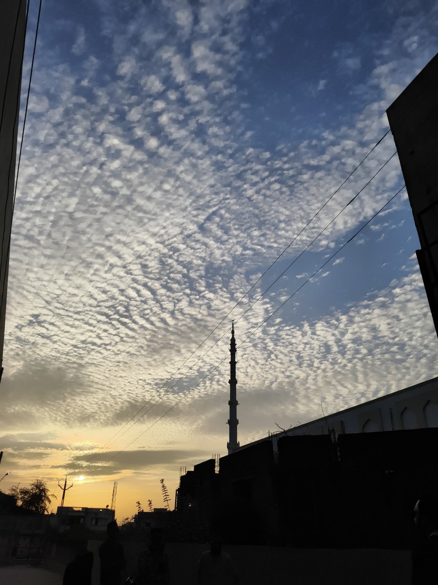 Saad 🍉 tweet media