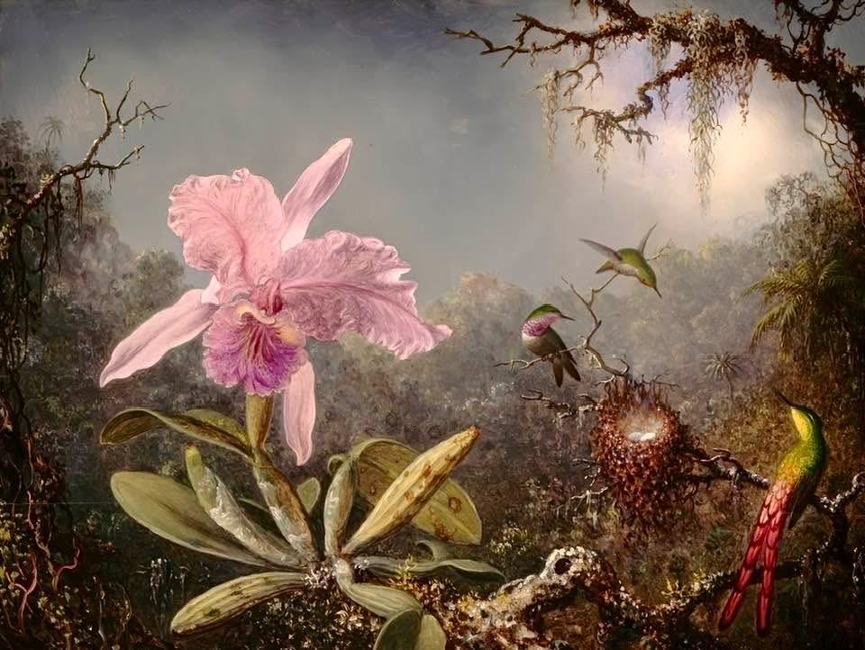 🌱helga🌿🕊️🍃 tweet media