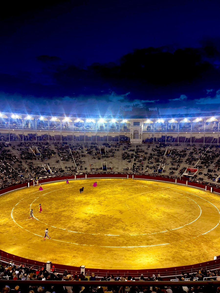 Román Collado tweet media