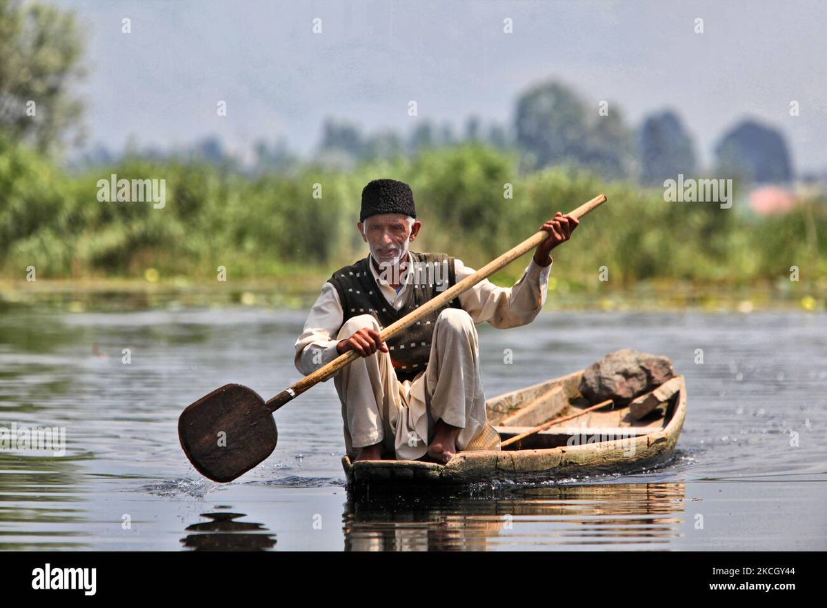 Problem Licked tweet media