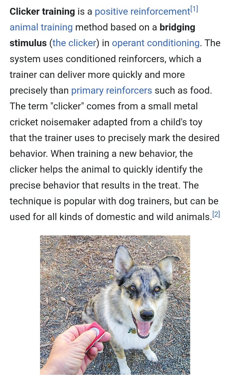 Apollo Mocchi, Prince of Light. tweet media