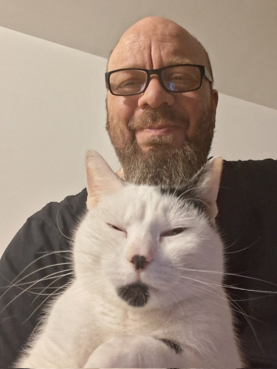 MeesterAl tweet media