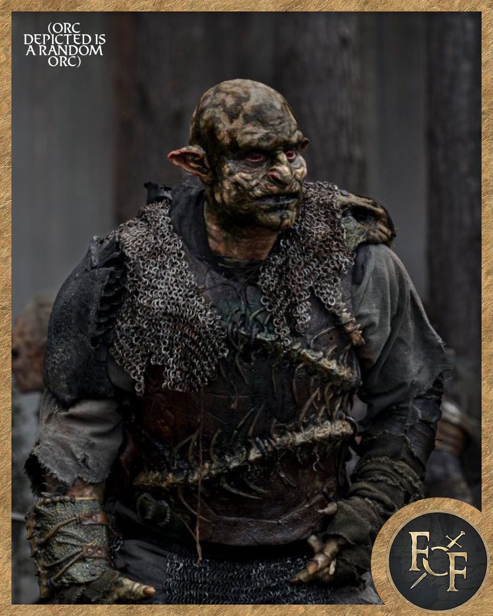 Fellowship of Fans 🐎 tweet media