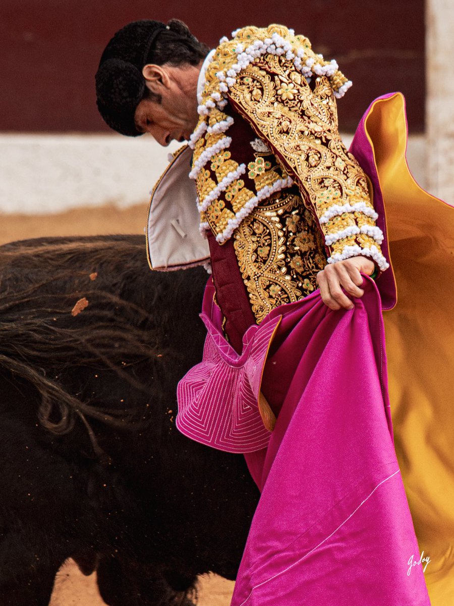 Eugenia Godoy tweet media