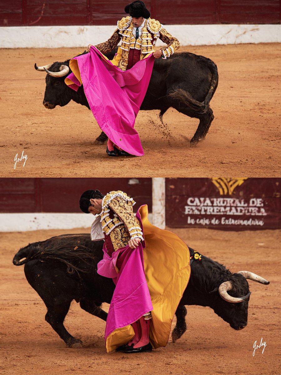 Eugenia Godoy tweet media