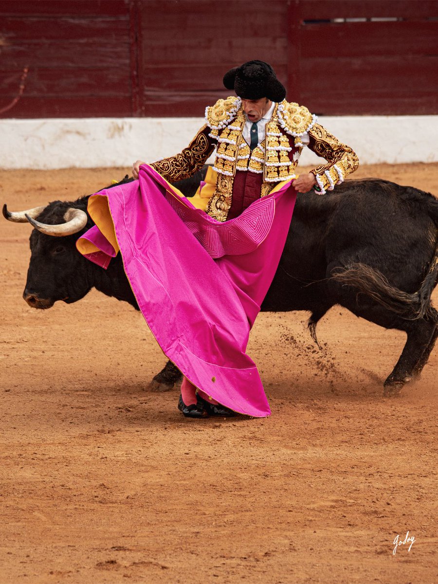 Eugenia Godoy tweet media