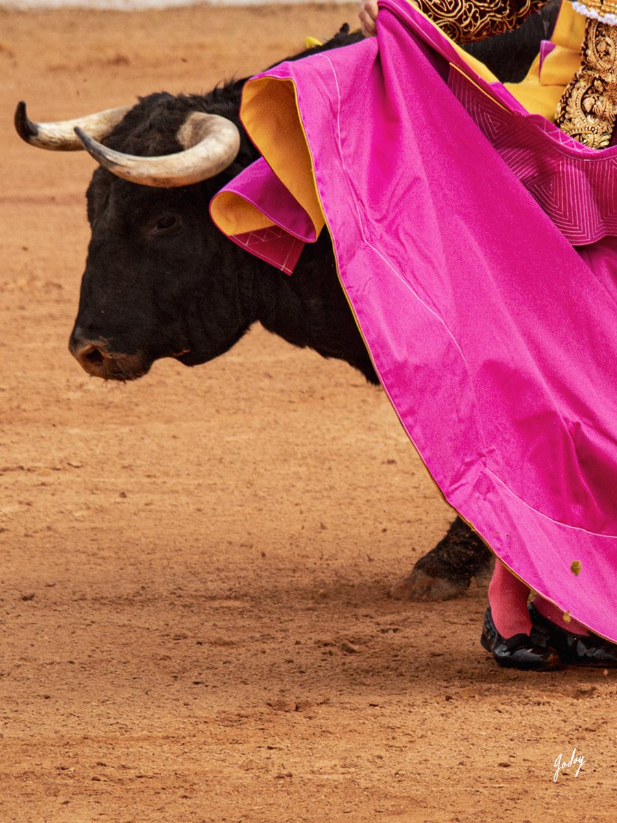 Eugenia Godoy tweet media